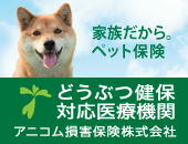 小平市小川町 アイ動物病院 犬 猫 鳥 うさぎ ハムスターを診療